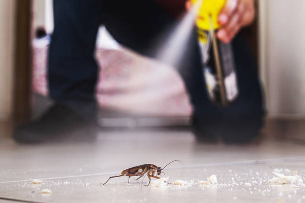 Best Affordable Pest Control Services  in Mansfield, TX